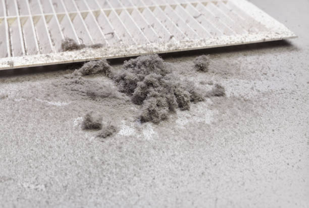 Best HVAC Duct Inspection Services  in Carney, MD