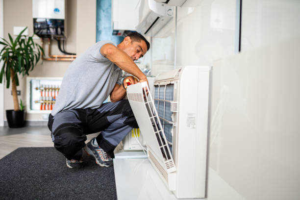 Best Air Duct Sanitizing Services  in Carney, MD