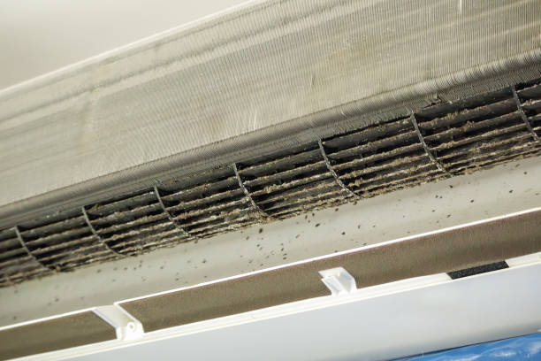Best Dryer Vent Cleaning Services  in Carney, MD