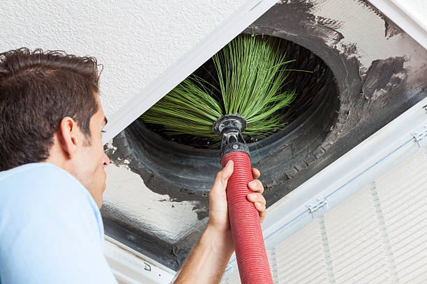 Best Local Air Duct Cleaning Services  in Carney, MD