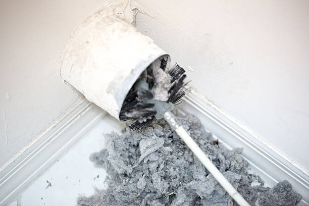Best Air Duct Cleaning Company Near Me  in Carney, MD